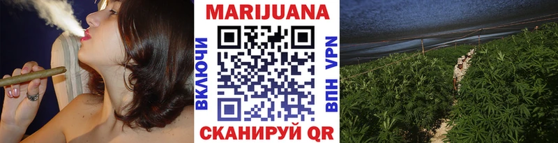 хочу Ртищево МАРИХУАНА сатива